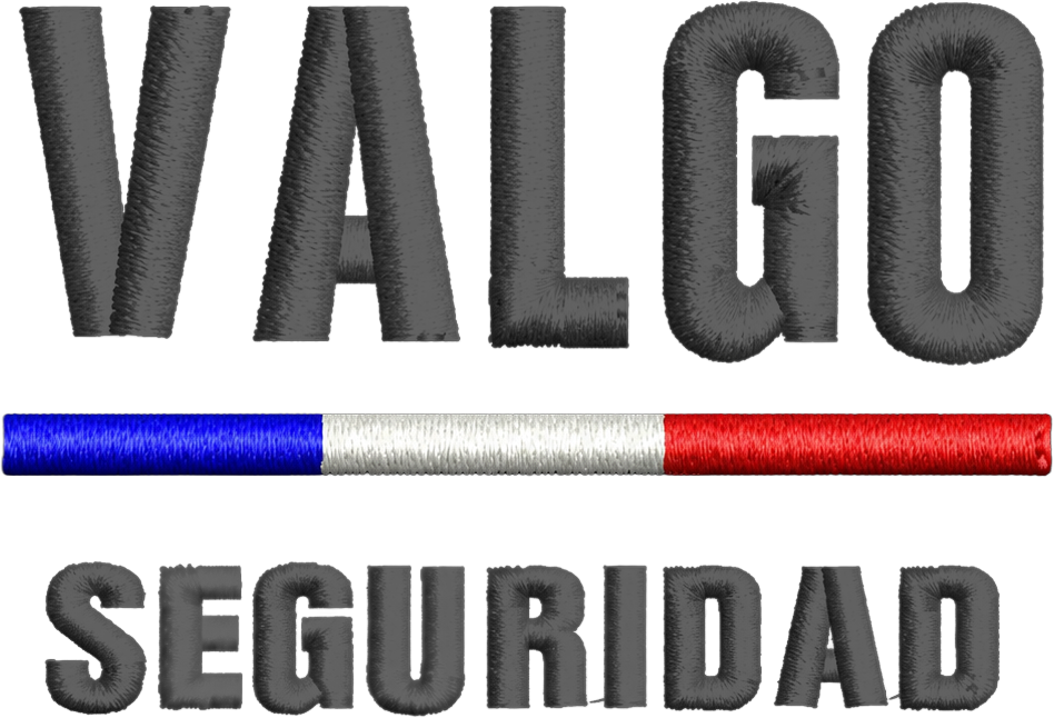 Valgo Seguridad